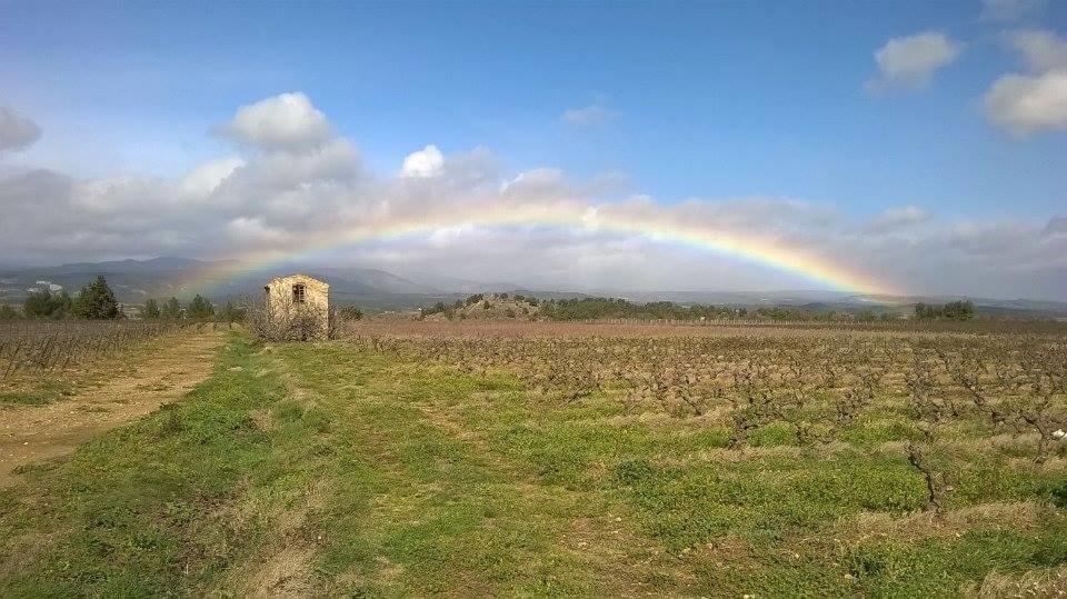 Hostal Domaine d'Azéou Laure-Minervois Exterior foto