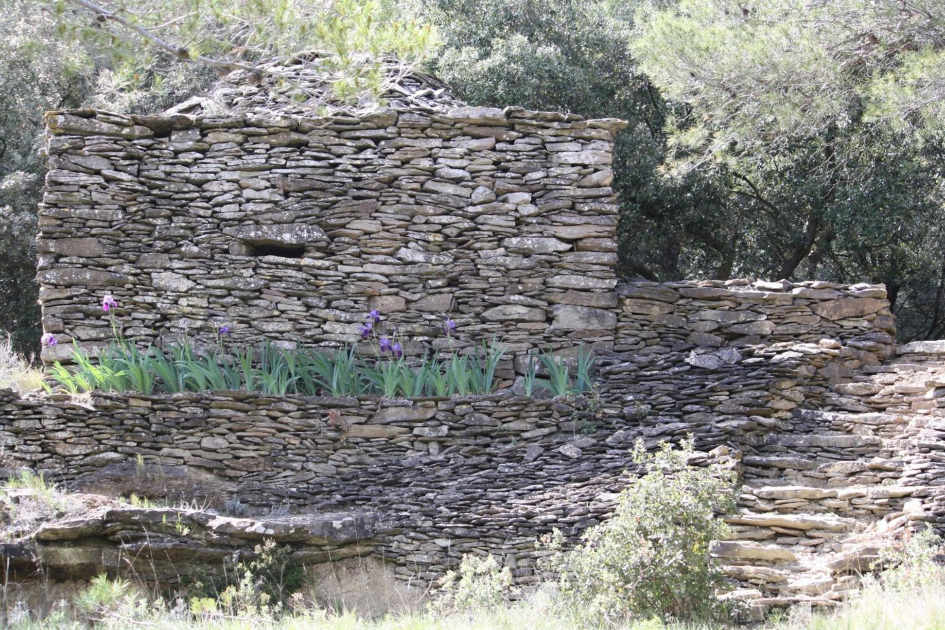 Hostal Domaine d'Azéou Laure-Minervois Exterior foto
